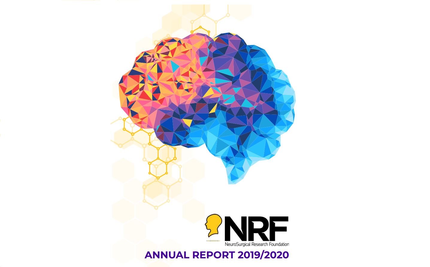 Annual Report 2020 image